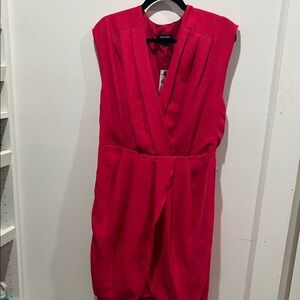Express Vibrant Dark Pink Mini Dress
